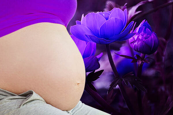 Become a Surrogate in Augusta ME, Maine Surrogates, Maine Surrogate Mothers, Maine Surrogacy, Maine Surrogate Information, Maine Surrogacy Information