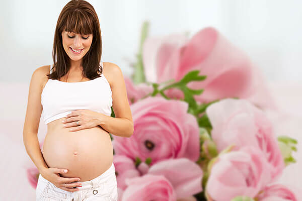 Become a Surrogate in Augusta ME, Maine Surrogates, Maine Surrogate Mothers, Maine Surrogacy, Maine Surrogate Information, Maine Surrogacy Information