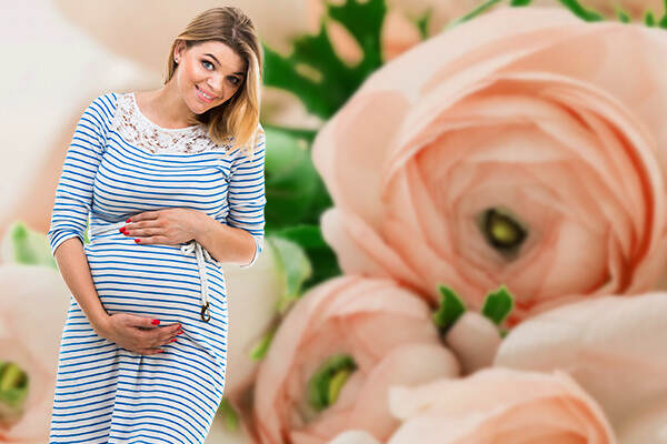 Become a Surrogate in Augusta ME, Maine Surrogates, Maine Surrogate Mothers, Maine Surrogacy, Maine Surrogate Information, Maine Surrogacy Information
