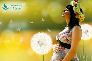 how to become a surrogate mother