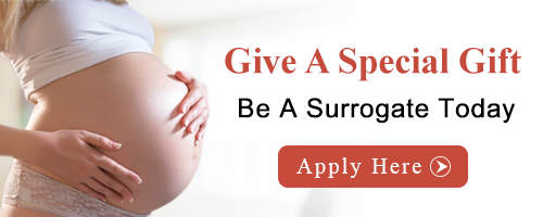 Become A Surrogate Today | Apply Now! Become a Surrogate in Augusta ME, Maine Surrogates, Maine Surrogate Mothers, Maine Surrogacy, Maine Surrogate Information, Maine Surrogacy Information