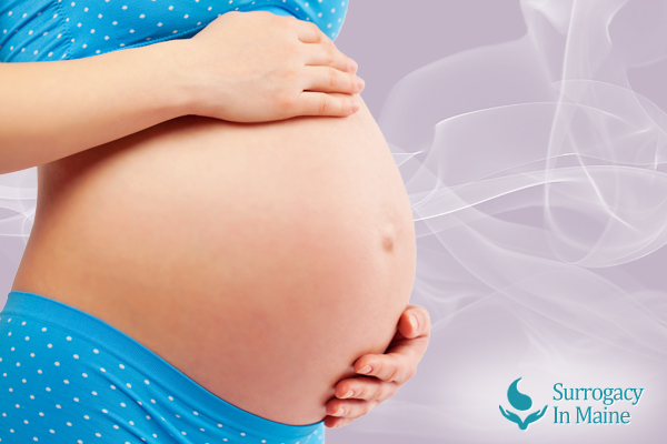 Surrogacy In Maine Definition Of Surrogate Mother Surrogacy Agency 