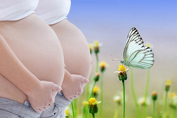 Surrogate Mother Pay in Augusta ME, Surrogate Mother Pay Augusta ME, Surrogate Pay Augusta ME, Surrogate Compensation Augusta ME, Surrogate Mother Pay, Surrogate Compensation, Surrogate Pay, Surrogates